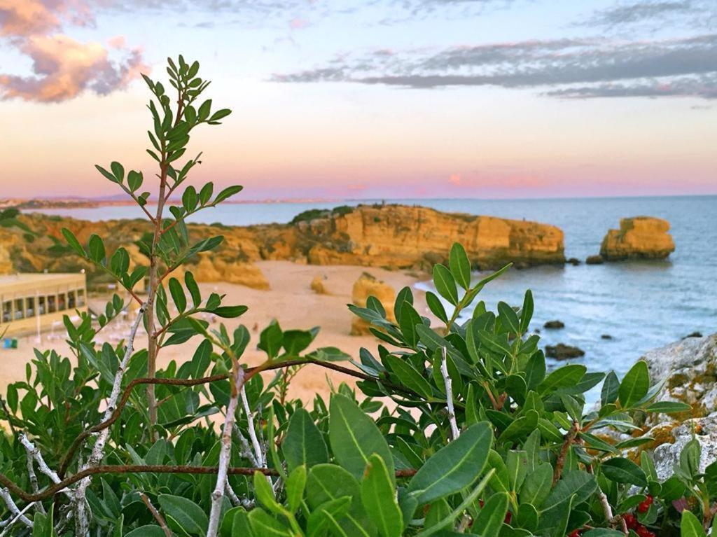 Casa Elisa Sao Rafael Daire Albufeira Dış mekan fotoğraf